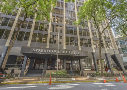 233 E Erie Street - Photo 1
