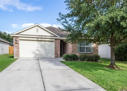 29006 Trinity River Drive - Photo 1