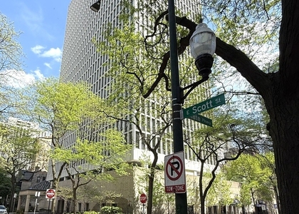 1 E Scott Street - Photo 1
