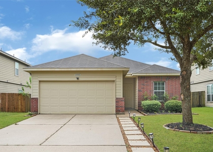 11015 Harston Drive - Photo 1