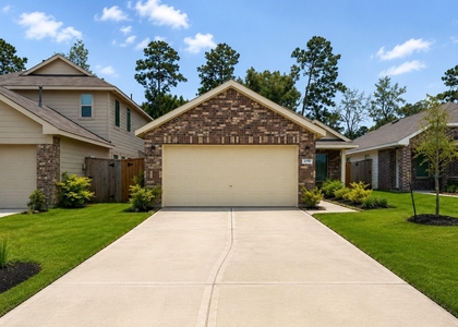 20910 Zuccala Drive - Photo 1