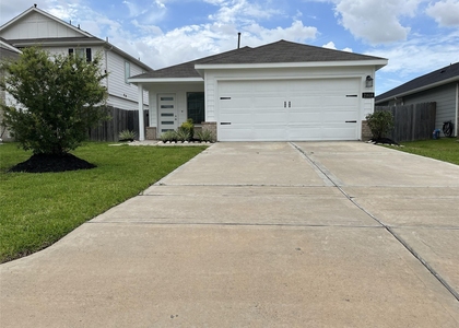 21618 Lemon Beebrush Lane - Photo 1