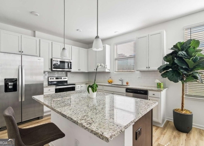 1724 Tolstoy Lane - Photo 1