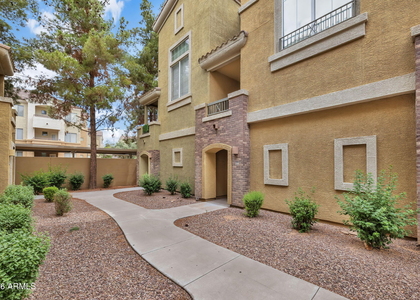 18250 N Cave Creek Road - Photo 1