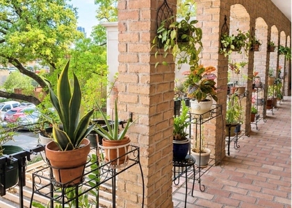 4633 Wild Indigo Street - Photo 1