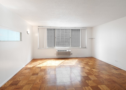 333 E 45th Street - Photo 1