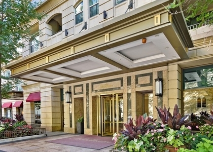 25 E Superior Street - Photo 1