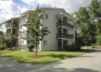 99 Mammoth - Photo 1