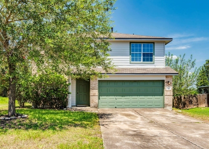 257 Prairie Verbena Dr - Photo 1