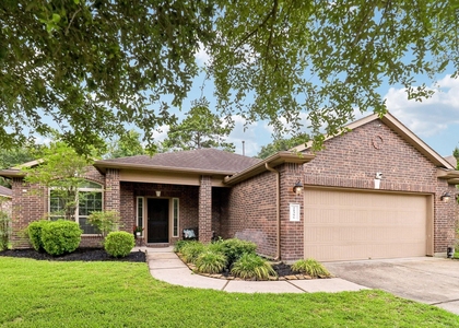 21396 Timber Lodge Lane - Photo 1