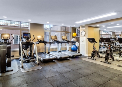 530 N Lake Shore Drive - Photo 1