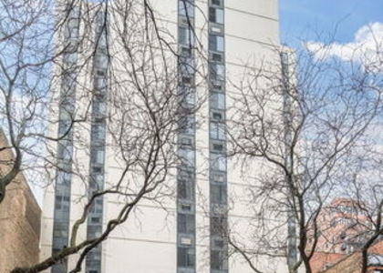 1339 N Dearborn Street - Photo 1