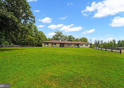 13019 Canova Drive - Photo 1