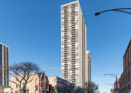 1660 N Lasalle Street - Photo 1