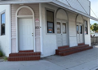 501 Athens Street - Photo 1