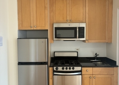 117 West 13th Street - Photo 1