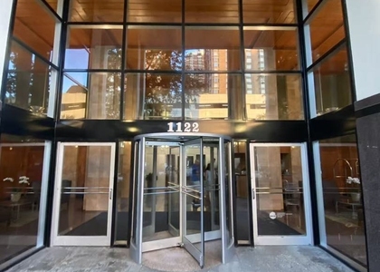 1122 N Clark Street - Photo 1