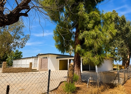 17301 Palm - Photo 1