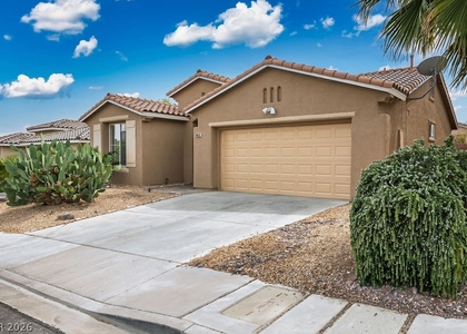 10513 Shanna Trellis Avenue - Photo 1