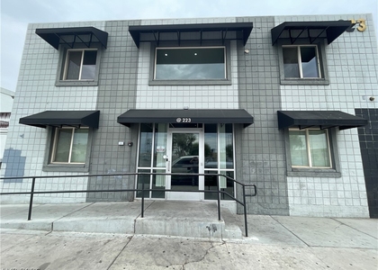 223 N 9th Street - Photo 1