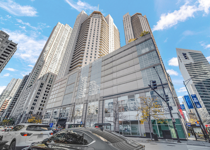 545 N Dearborn Street - Photo 1