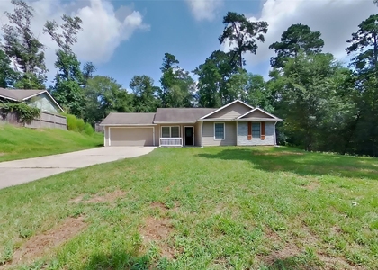 10951 Royal Forest Drive - Photo 1