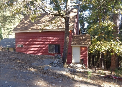 1021 Coulter Pine - Photo 1