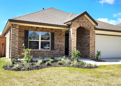 22566 Pagoda Dogwood Branch - Photo 1