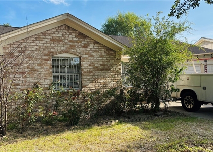 11407 Hazen Street - Photo 1