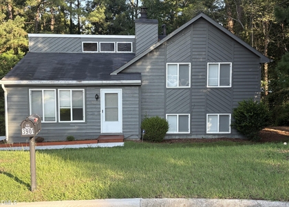 3901 Peppertree Place - Photo 1