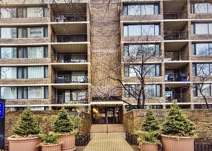 1555 N Sandburg Terrace - Photo 1