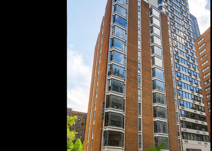 227 E Walton Place - Photo 1