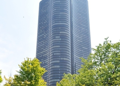 505 N Lake Shore Drive - Photo 1