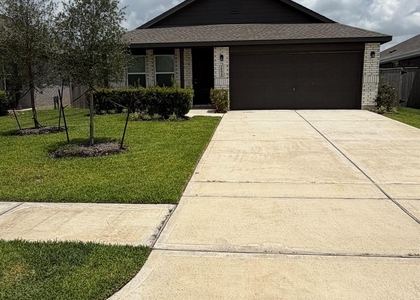 26826 Zebra Grass Drive - Photo 1