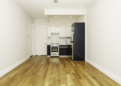 751 Dekalb Ave - Photo 1