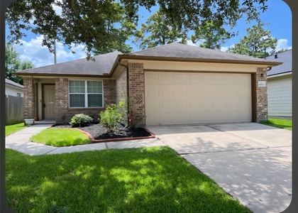 6207 Lovage Avenue - Photo 1