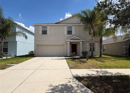 10013 Crested Fringe Drive - Photo 1