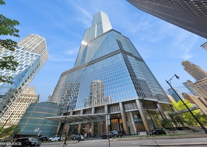 401 N Wabash Avenue - Photo 1