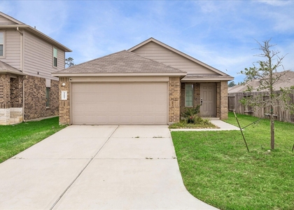 16691 Lonely Pines Drive - Photo 1