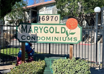 16970 Marygold - Photo 1