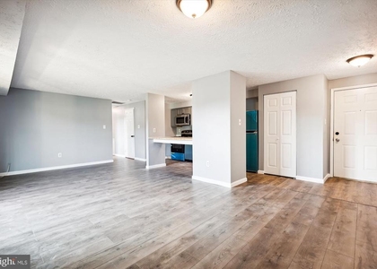12405 Hickory Tree Way - Photo 1