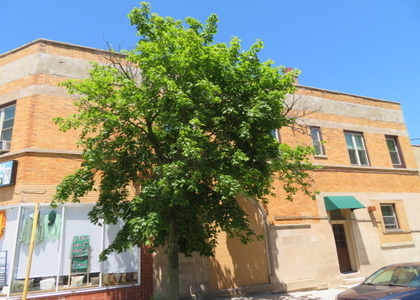 1552 W Highland Avenue - Photo 1