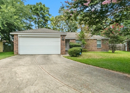 16305 Many Trees Lane - Photo 1