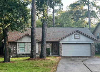 33 N Rain Forest Court - Photo 1