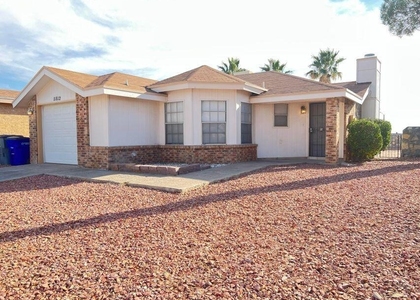 11812 Tracy Austin Lane - Photo 1
