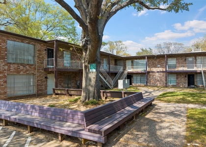 7510 Shadyvilla Lane - Photo 1