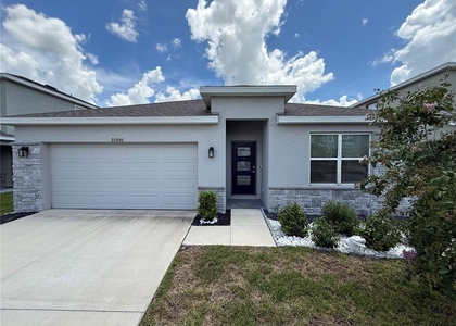 31800 Oyster Trellis Lane - Photo 1