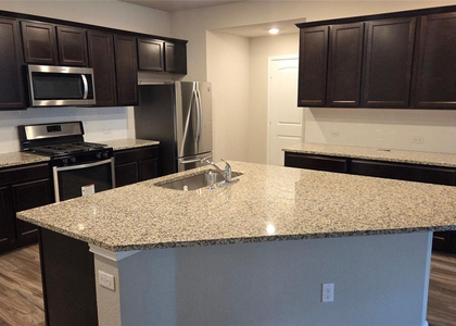 137 Arrowhead Vine St - Photo 1