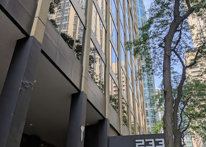 233 E Erie Street - Photo 1