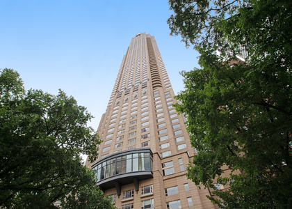 800 N Michigan Avenue - Photo 1